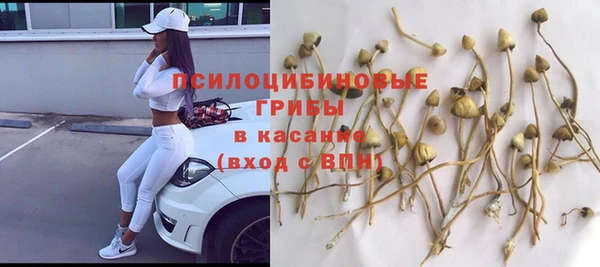 spice Алексеевка