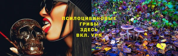 spice Алексеевка