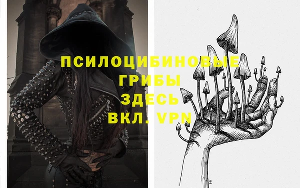 МДПВ Касимов