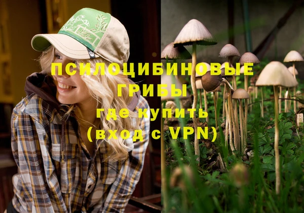 spice Алексеевка