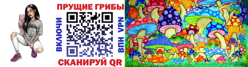 МЕГА ссылки  магазин    Дегтярск  площадка Telegram  Галлюциногенные грибы Cubensis 